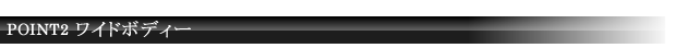 POINT2 ワイドボディー