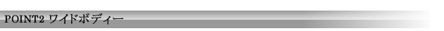 POINT2 ワイドボディー
