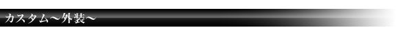 カスタム～外装～