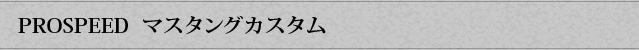 PROSPEED マスタングカスタム