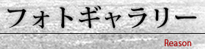 フォトギャラリー