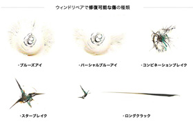 ウインドリペア